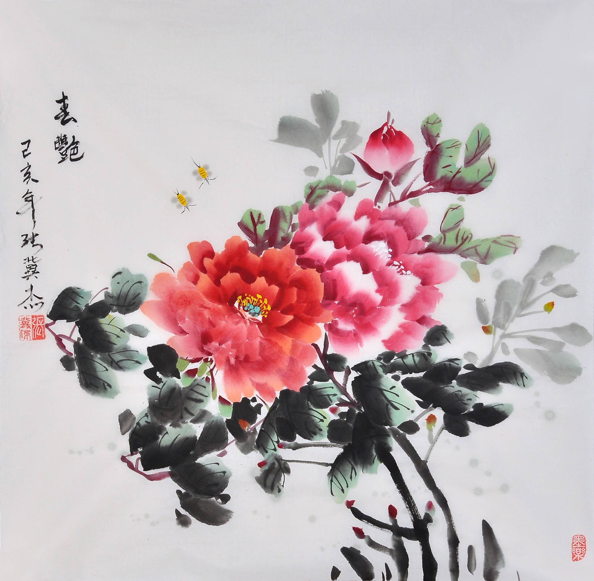 ŷ��ABG��[�й�]������¼���