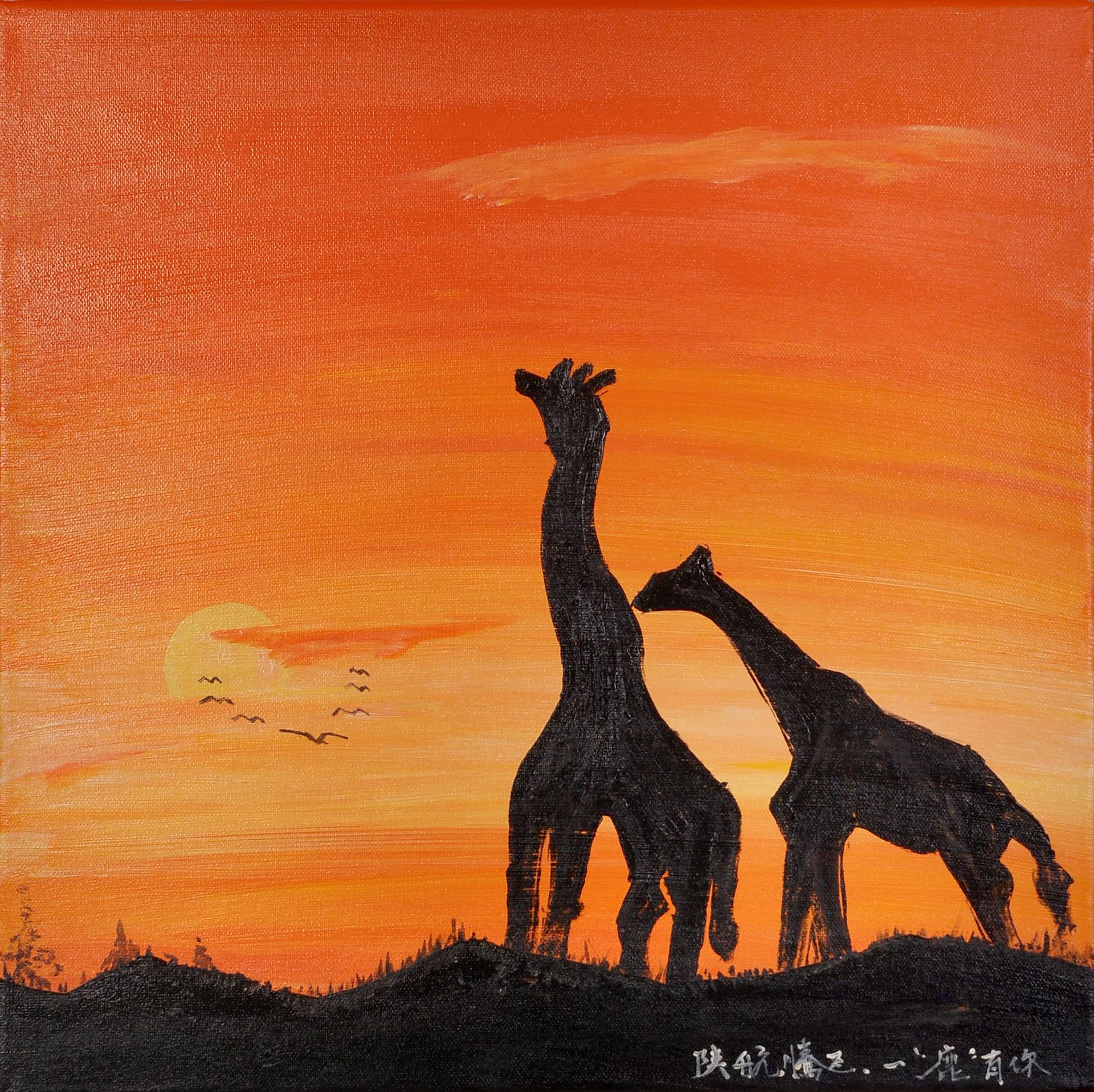 ŷ��ABG��[�й�]������¼���